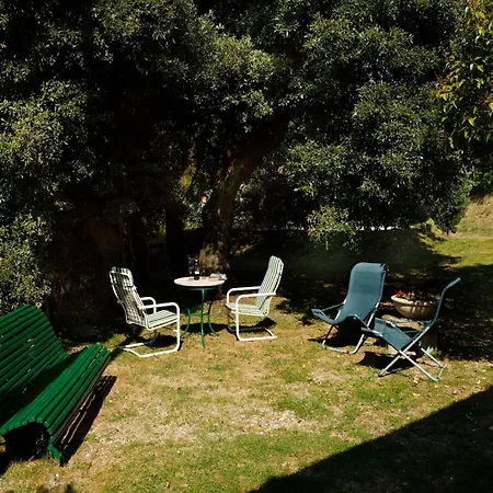 Tuscan With Pool Semesterbostad Cortona